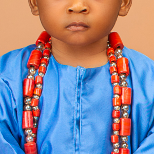 Olanrewaju Alarape -contestant